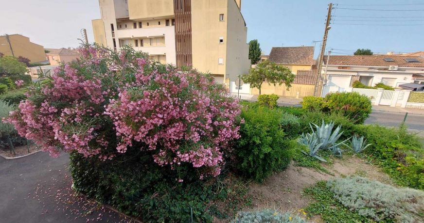 en location saisonnière Appartement Le Grau D'agde