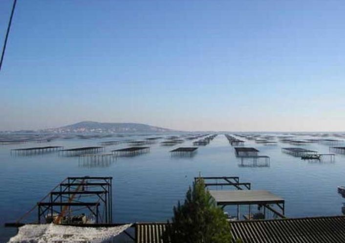 en location saisonnière Appartement Marseillan Plage