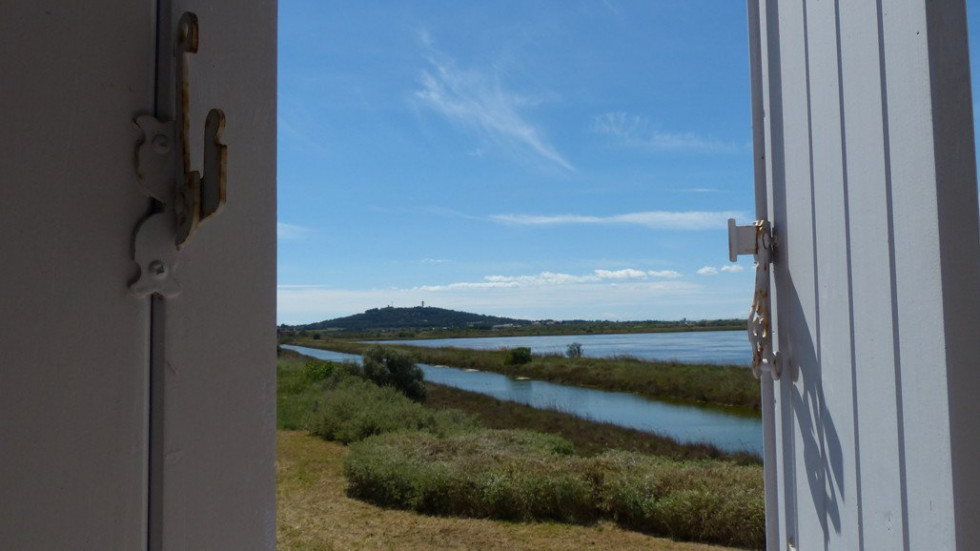 en location saisonnière Maison Marseillan-plage - Photo 1