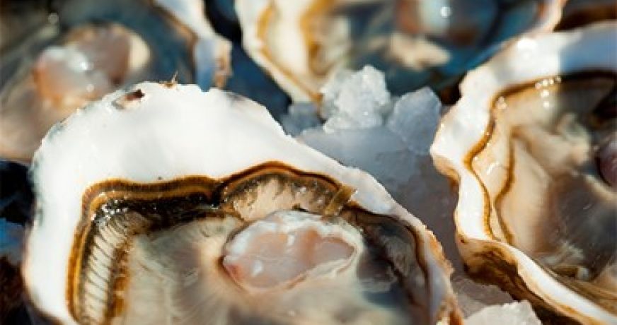 en location saisonnière Appartement Marseillan Plage