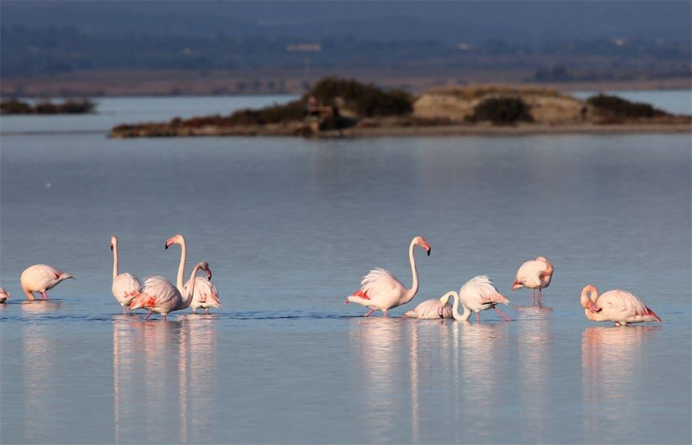en location saisonnière Appartement Marseillan Plage - Photo 9