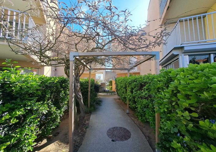 en location saisonnière Appartement Marseillan Plage