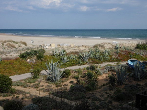 for seasonal lettings Appartement Marseillan Plage - Photo 8