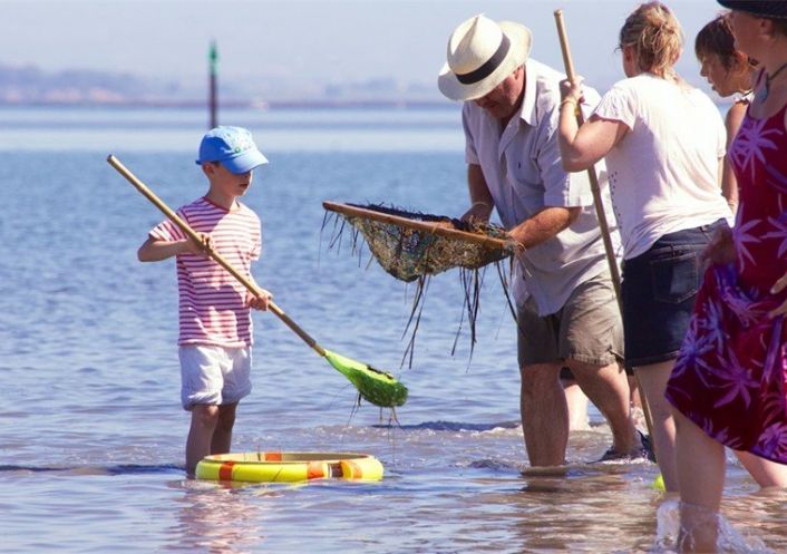en location saisonnière Appartement Marseillan Plage