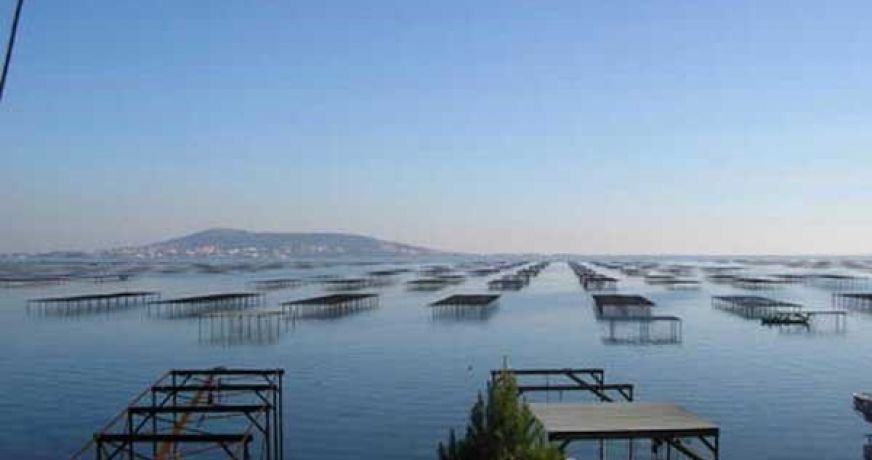 en location saisonnière Appartement Marseillan Plage