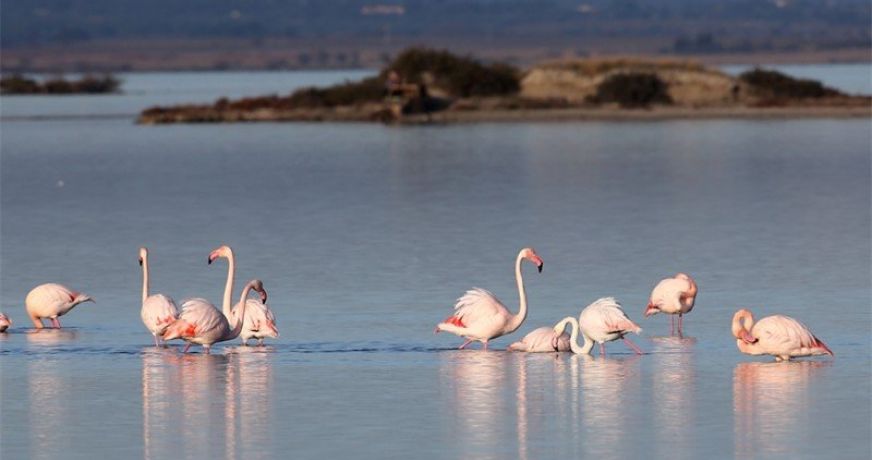 en location saisonnière Appartement Marseillan Plage