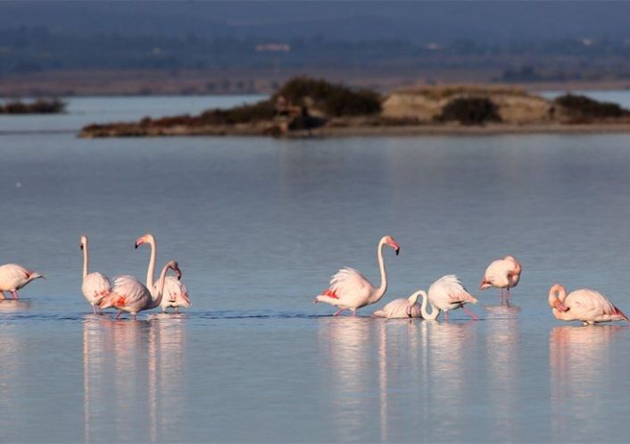 en location saisonnière Appartement Marseillan Plage