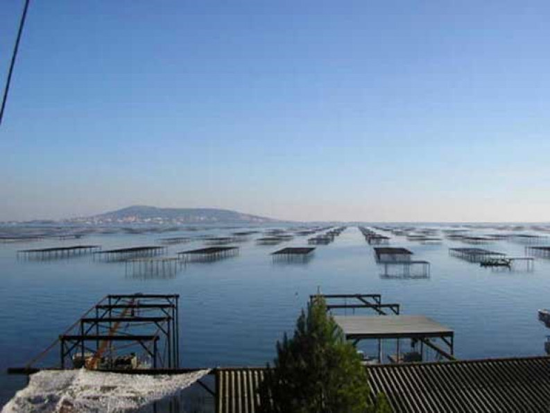 en location saisonnière Appartement Marseillan Plage - Photo 10