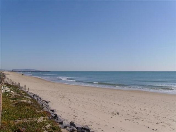 for seasonal lettings Appartement Marseillan Plage - Photo 7