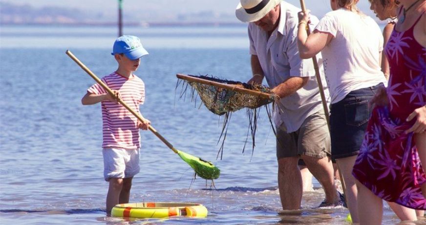 en location saisonnière Appartement Marseillan Plage