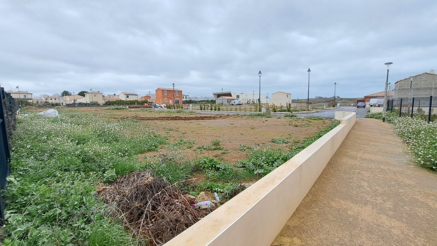 vente Terrain constructible Pomerols - Photo 3