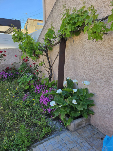 en location saisonnière Appartement Marseillan Plage - Photo 10