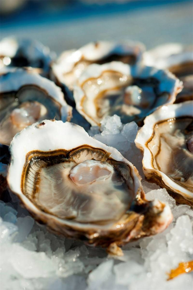 en location saisonnière Villa Marseillan Plage - Photo 10