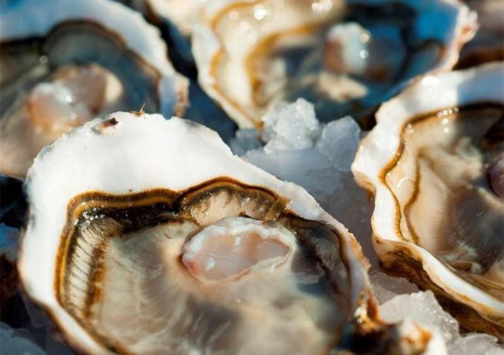 en location saisonnière Villa Marseillan Plage