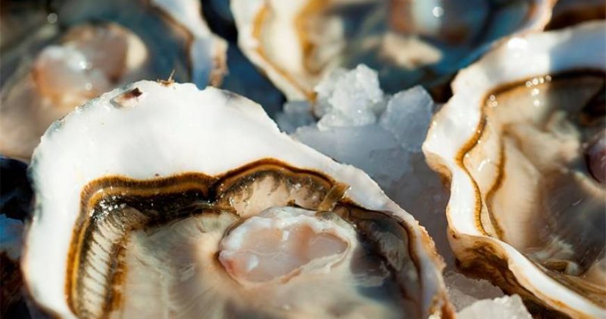 en location saisonnière Villa Marseillan Plage