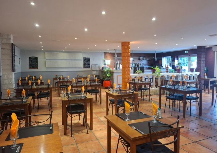 vente Restaurant Agde