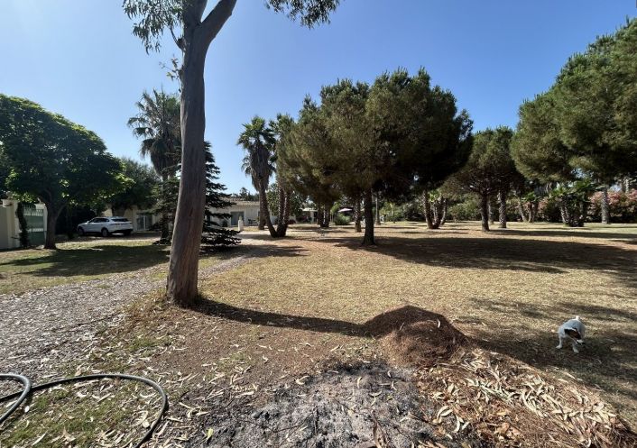 vente Terrain Agde