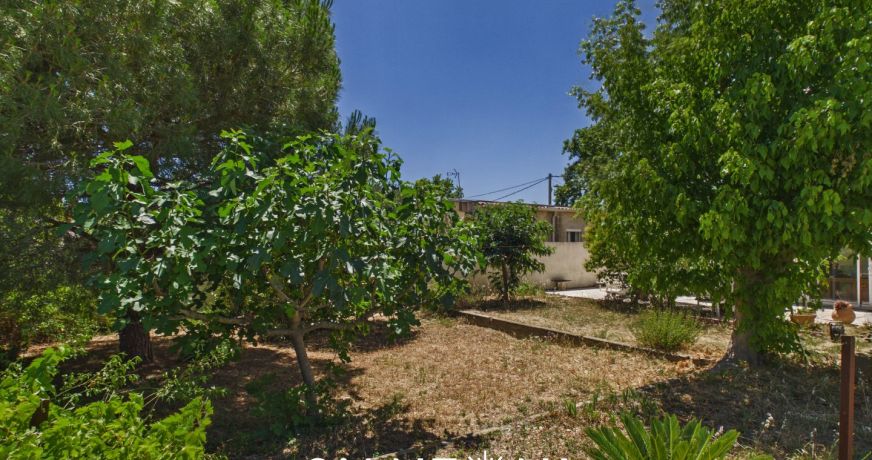vente Maison Bessan