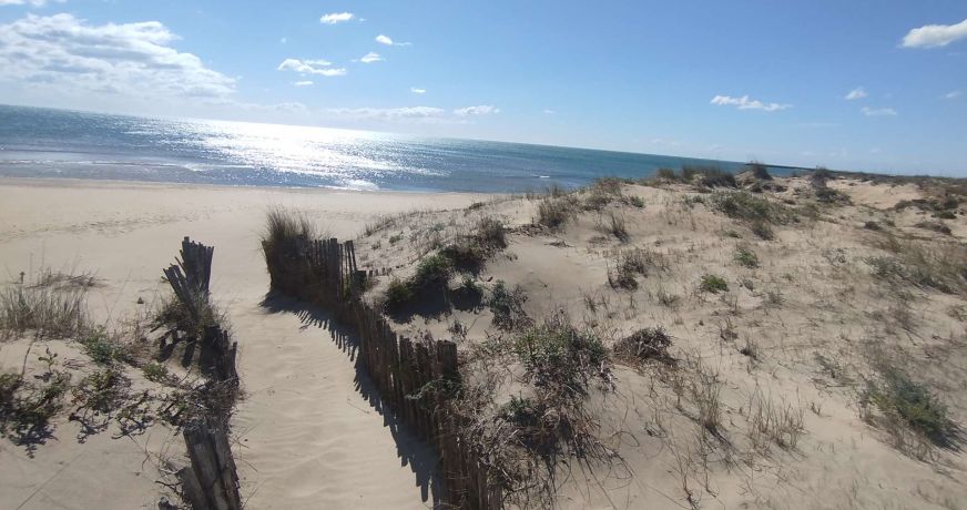 en location saisonnière Appartement Marseillan Plage
