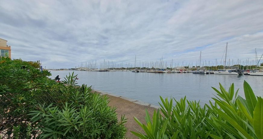 location Appartement Agde