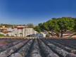 en location saisonnière Appartement Marseillan Plage