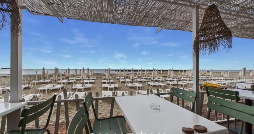 vente Agence Cap D'agde