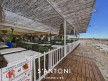 vente Agence Le Cap D'agde
