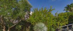 vente Maison Agde