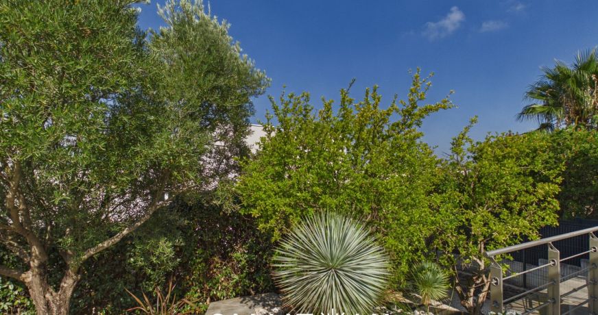vente Maison Agde
