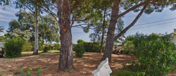 vente Maison Vias