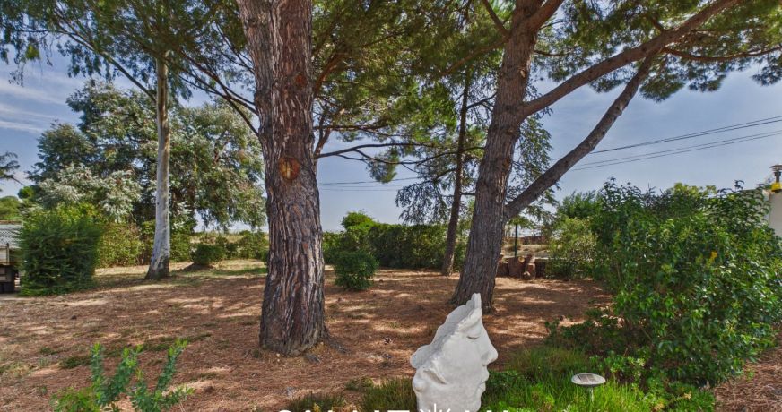 vente Maison Vias