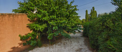 vente Terrain constructible Le Grau D'agde