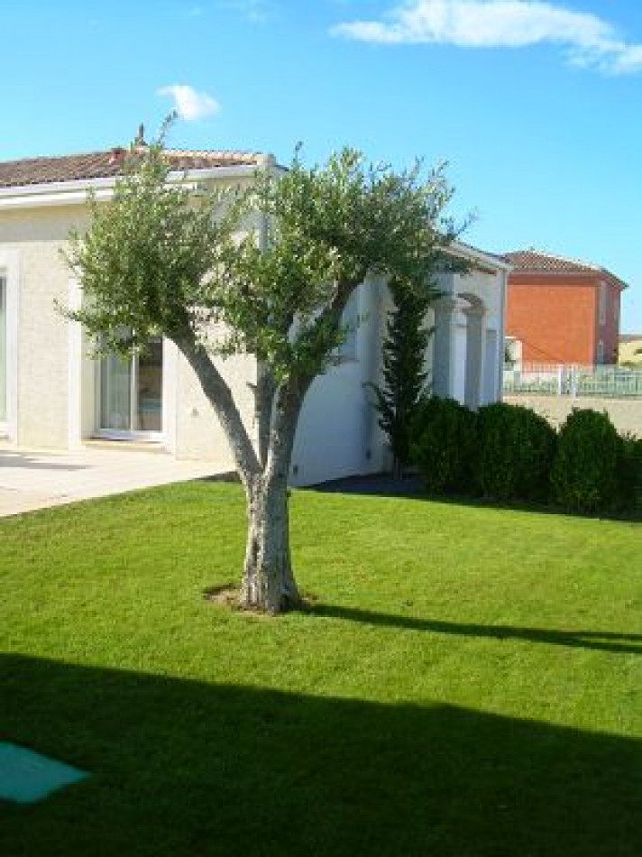 vente Villa d'architecte Marseillan - Photo 3
