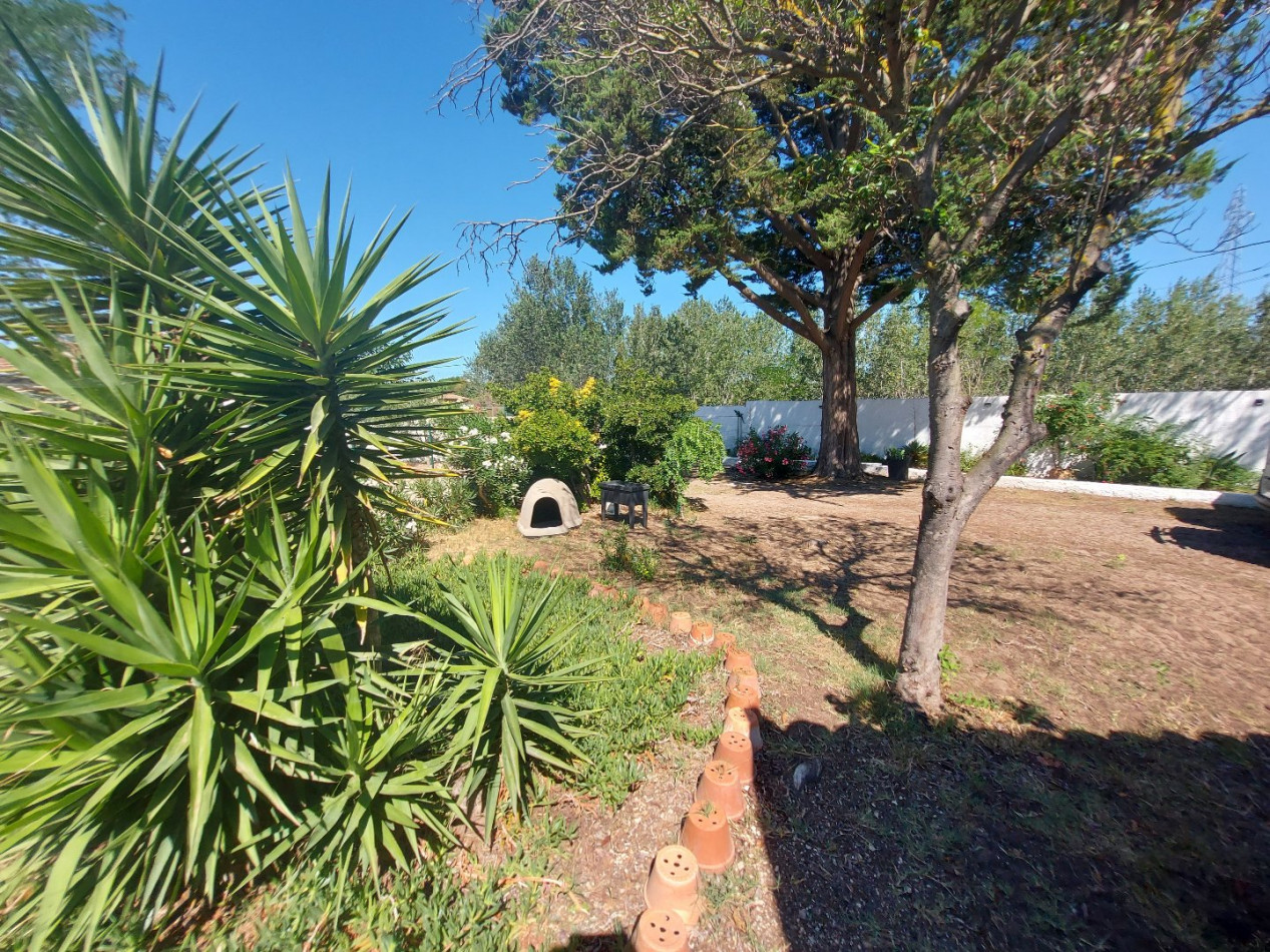 vente Maison individuelle Marseillan Plage - Photo 30
