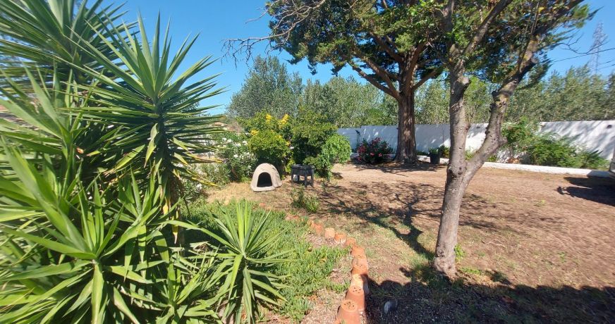 vente Maison individuelle Marseillan Plage