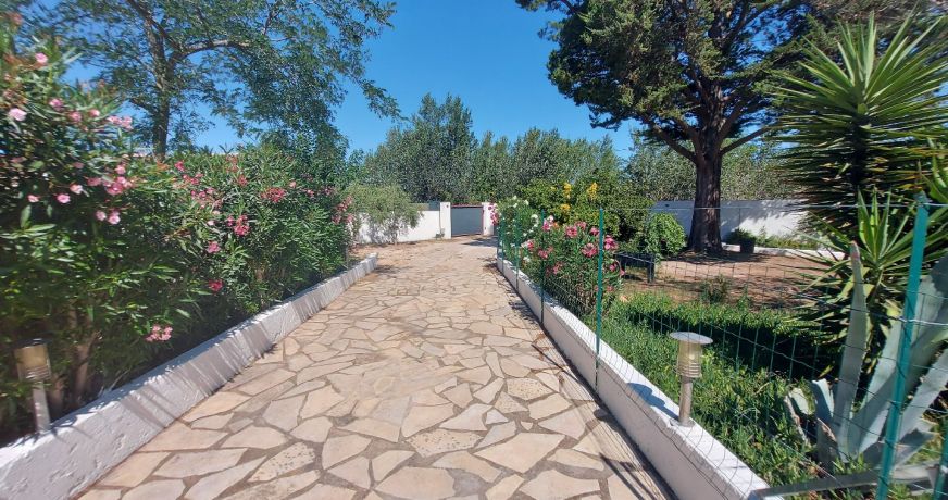 vente Maison individuelle Marseillan Plage