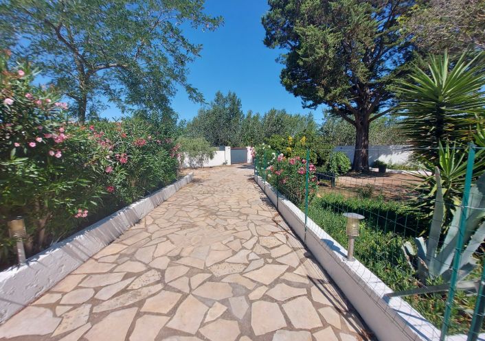 vente Maison individuelle Marseillan Plage