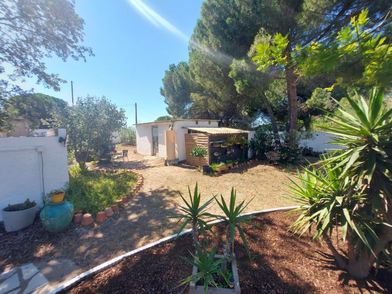 vente Maison individuelle Marseillan Plage - Photo 5