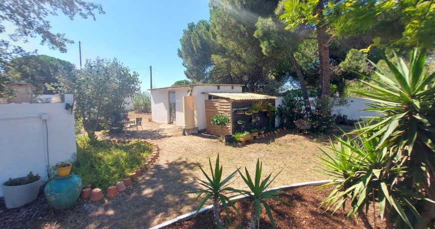 vente Maison individuelle Marseillan Plage