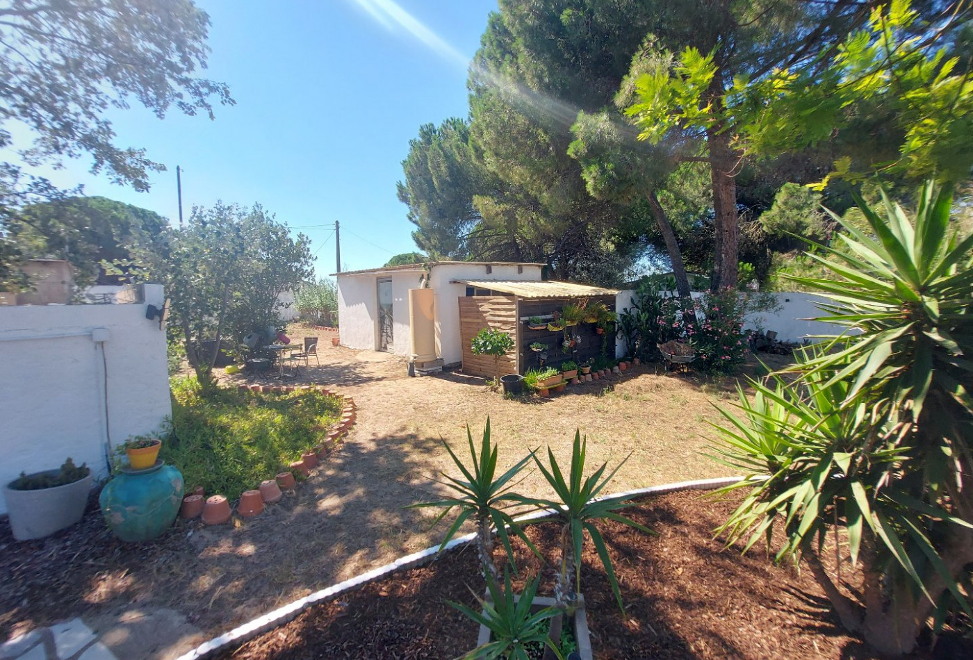 vente Maison individuelle Marseillan Plage - Photo 5