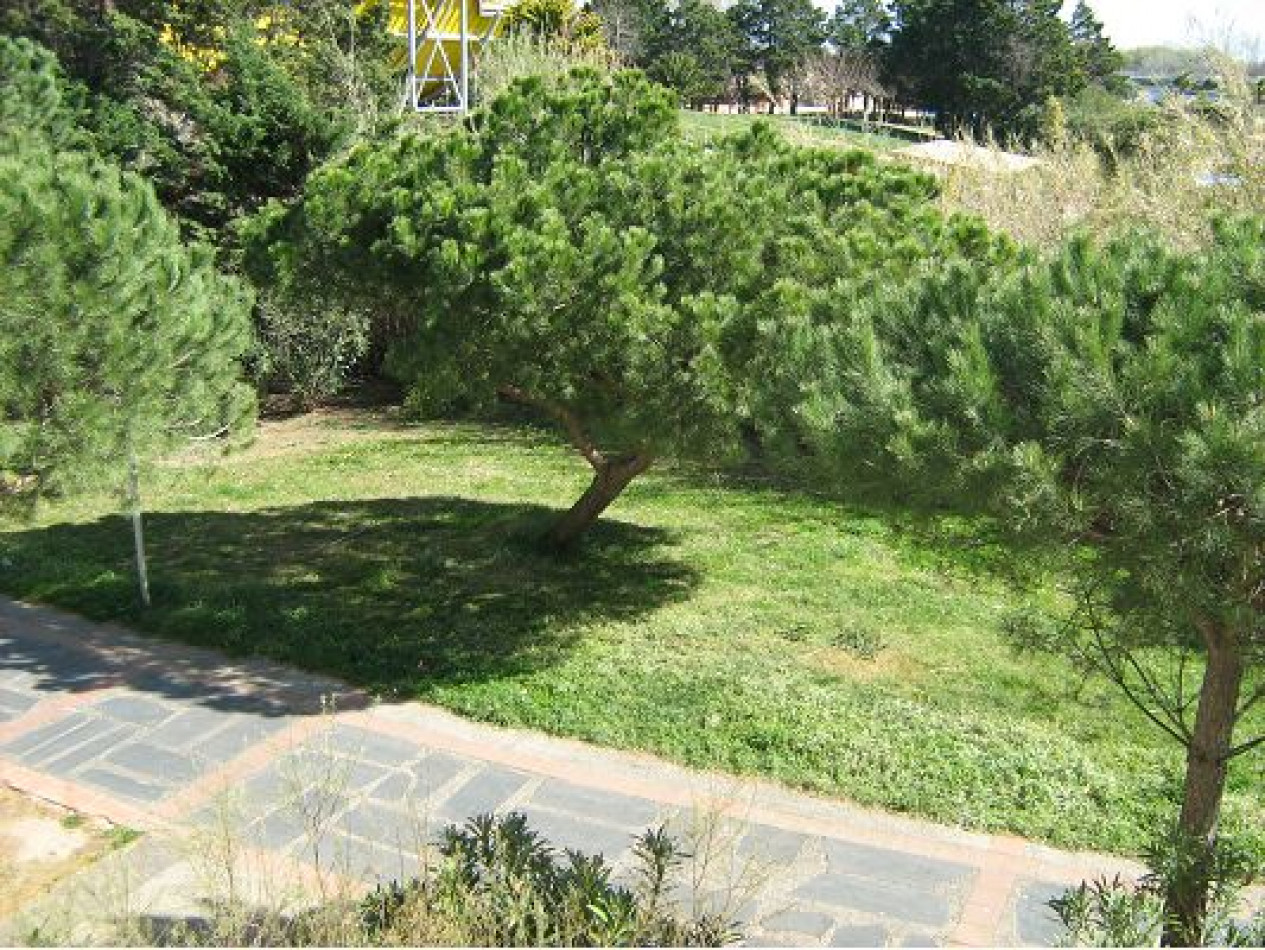 vente Appartement en résidence Le Cap D'agde - Photo 8