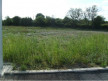 vente Terrain constructible Nizas