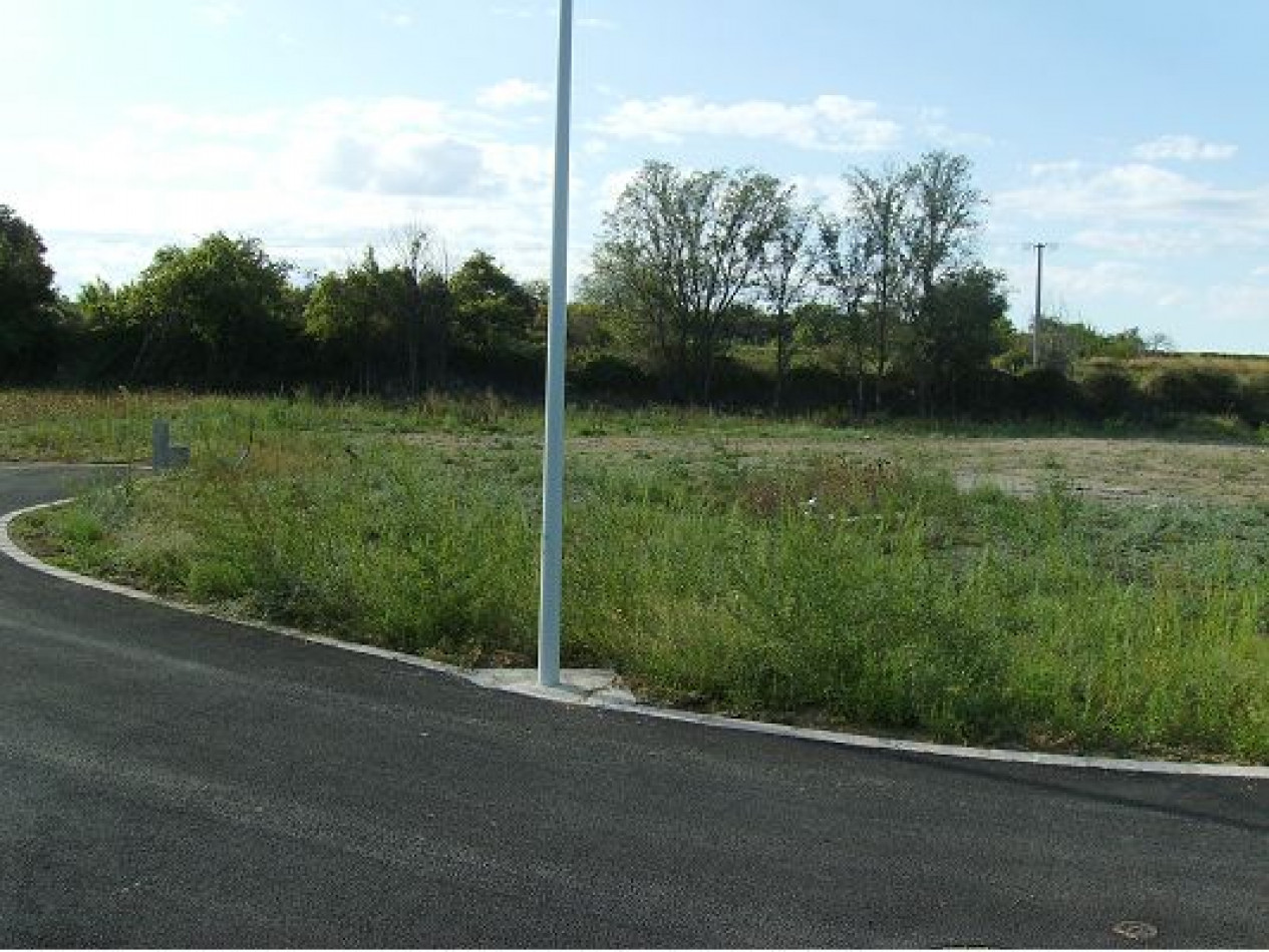 vente Terrain constructible Nizas - Photo 5