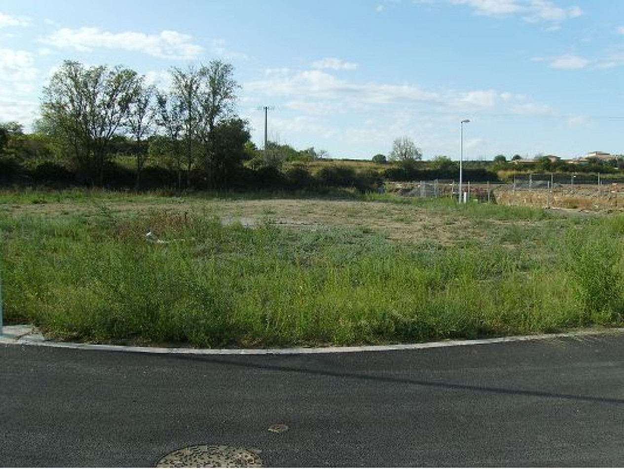 vente Terrain constructible Nizas - Photo 6