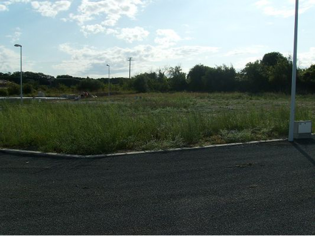 vente Terrain constructible Nizas - Photo 8