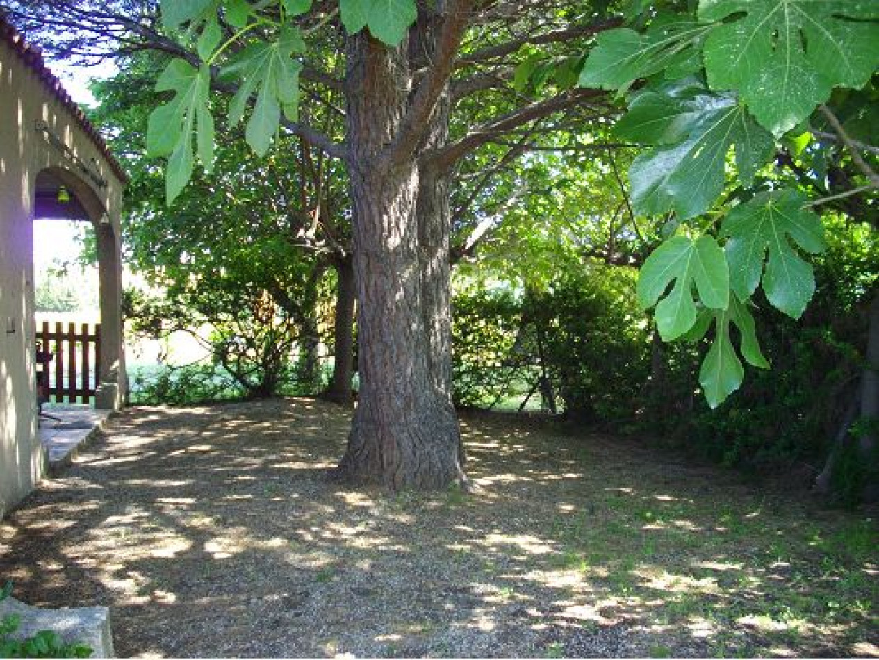 vente Maison individuelle Marseillan - Photo 1