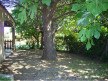 vente Maison individuelle Marseillan