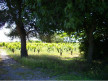 vente Maison individuelle Marseillan