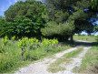 vente Maison individuelle Marseillan