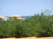 vente Appartement Marseillan Plage